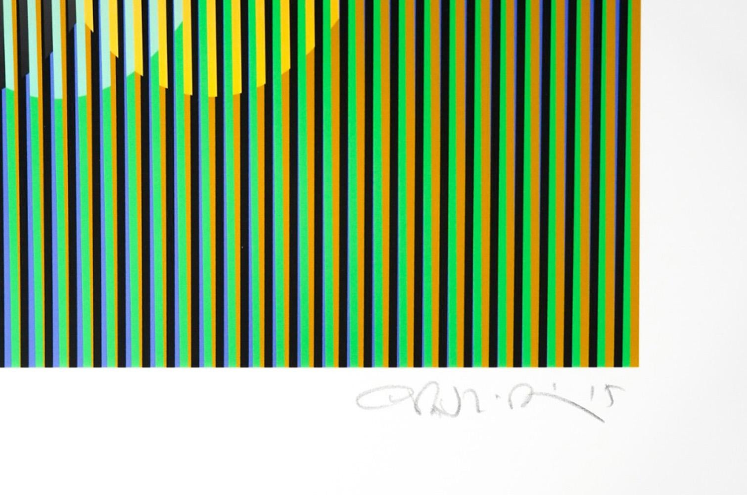 Oval 2 from the Serie Cardíaca Portfolio, Op Art Lithograph by Carlos Cruz-Diez For Sale 2