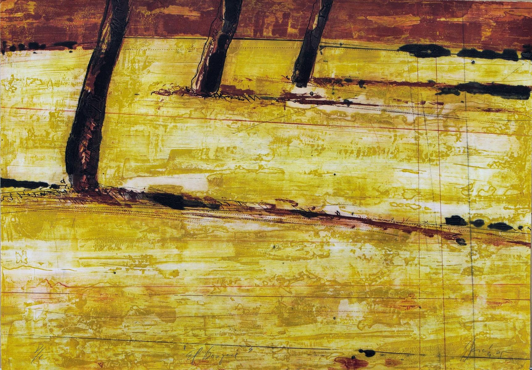 Carlos García de la Nuez, ¨Desde una isla¨, 2005, Incisione, 28x39.8 in