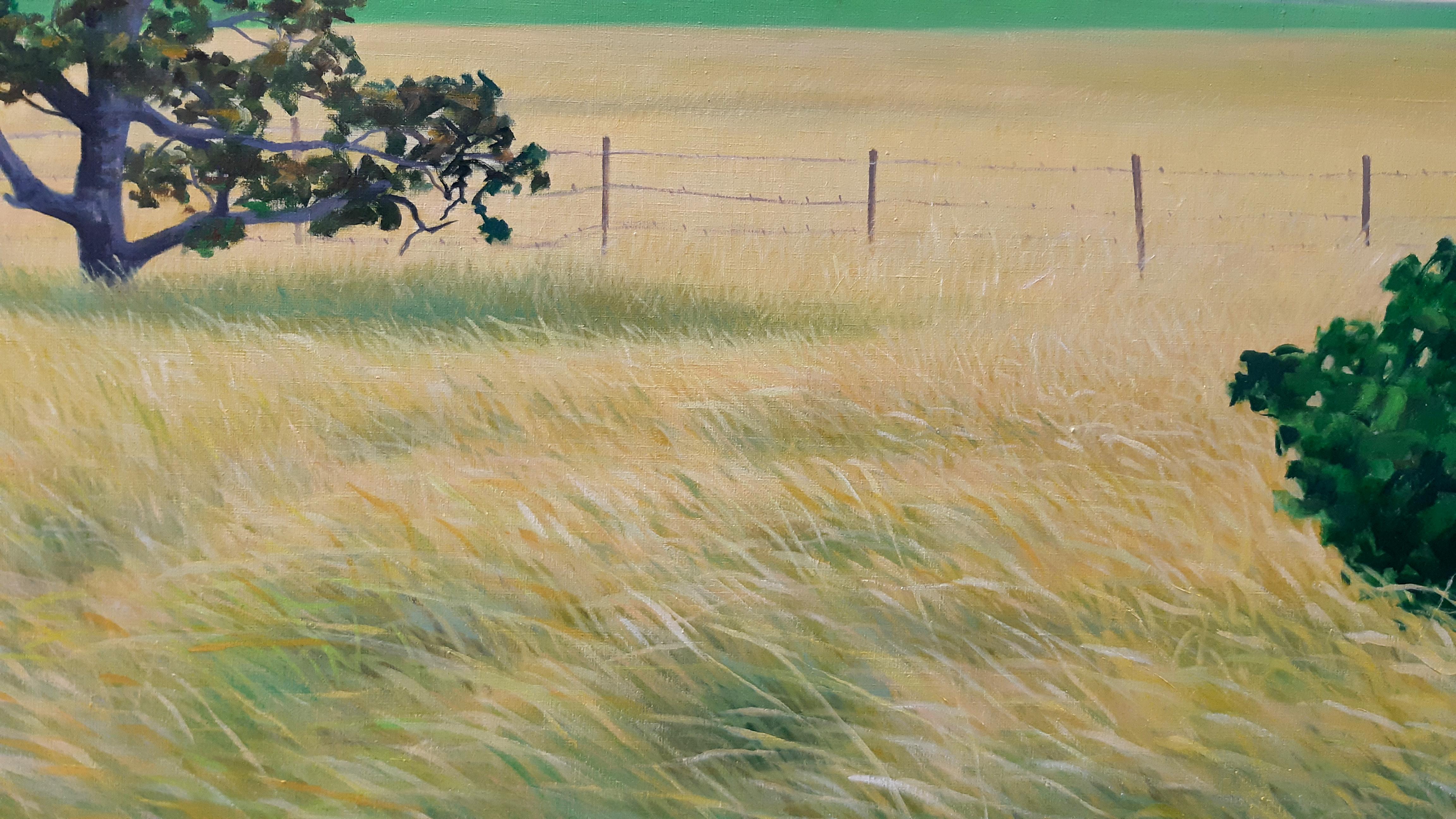 Carlos Hernndez Guerra, Chaparros de Guanipa, Öl auf Leinwand, 1984 (Zeitgenössisch), Painting, von Carlos Hernández Guerra