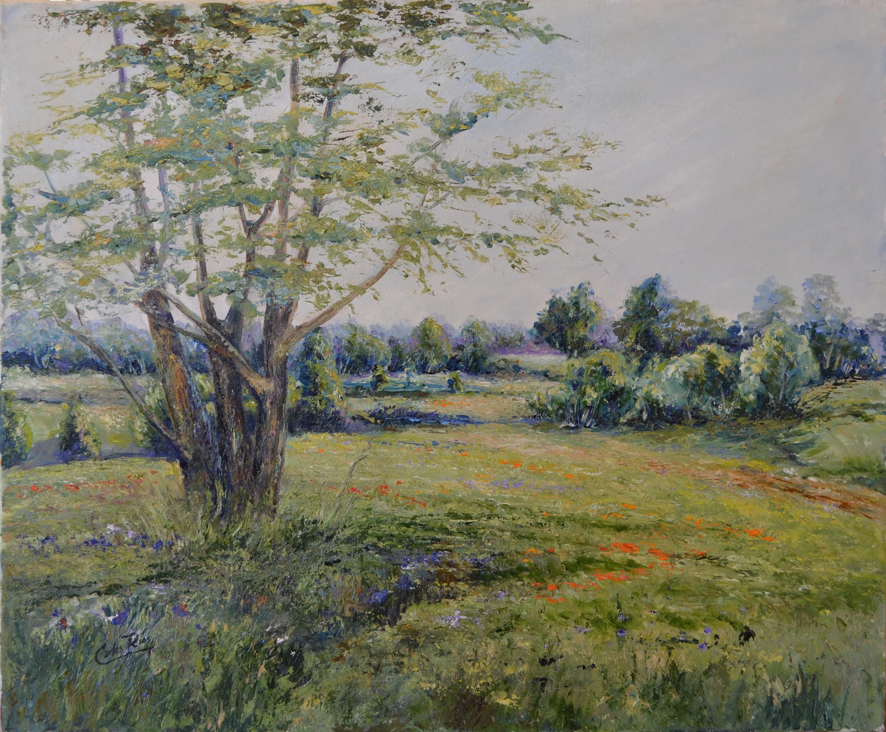 Nature Peintures - Paysage