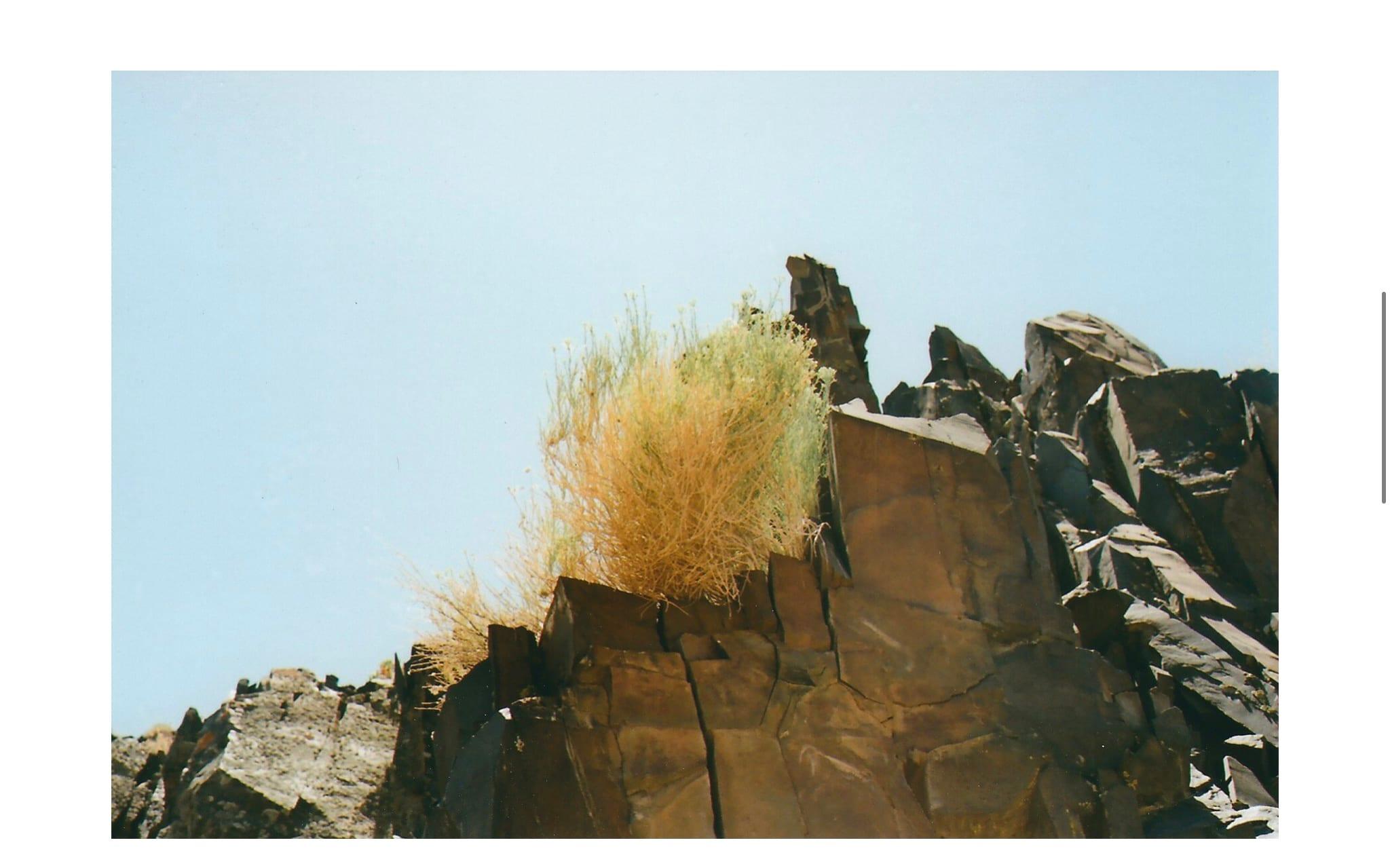 The Gift, landscape documentary of analogue photography by Carlotta Guerra For Sale 8