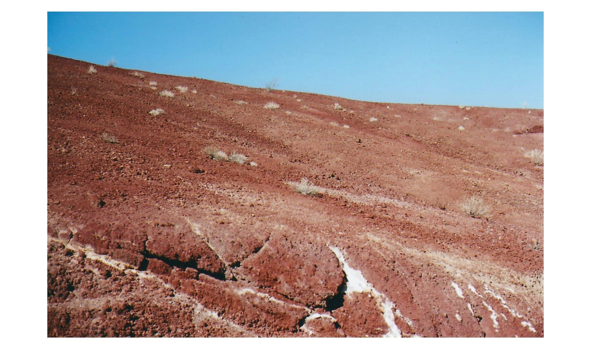 The Gift, landscape documentary of analogue photography by Carlotta Guerra For Sale 10