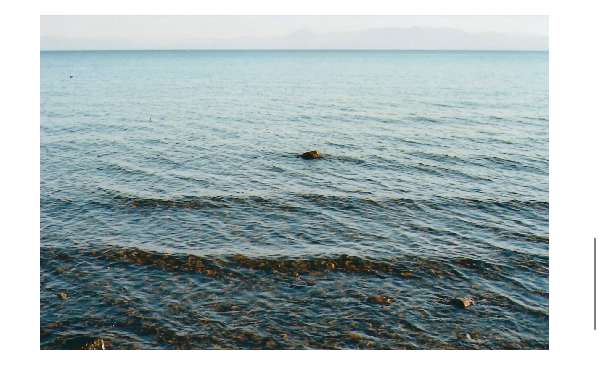 The Gift, landscape documentary of analogue photography by Carlotta Guerra For Sale 5