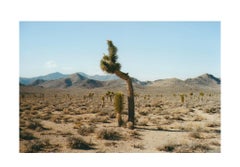The Gift, landscape documentary of analogue photography by Carlotta Guerra