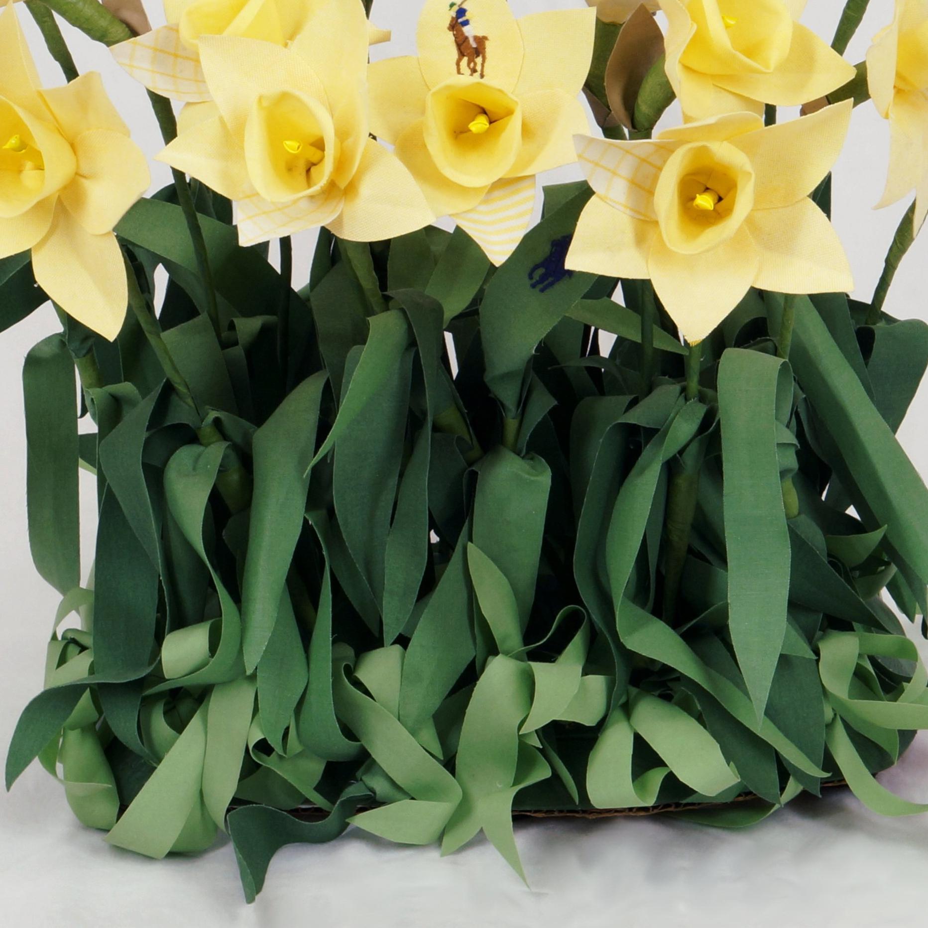 daffodils for sale