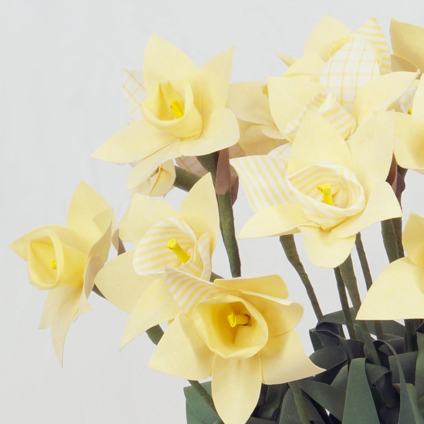 ffodils aus Schildkröten im Angebot 1
