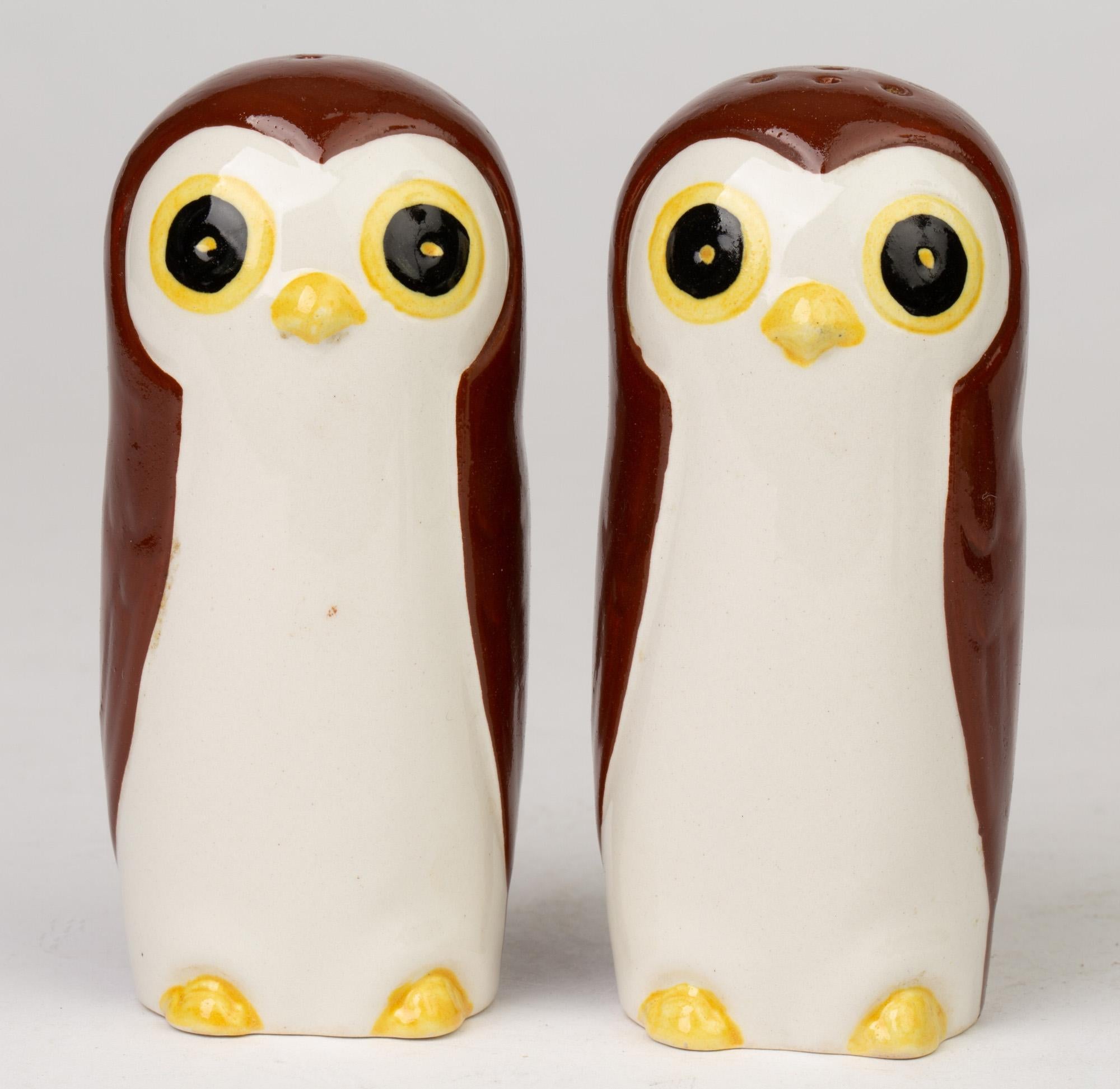 Carltonware Novelty Pottery Owl Cruet Set 5