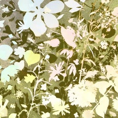 Sunset Walks with Harry & Buddy