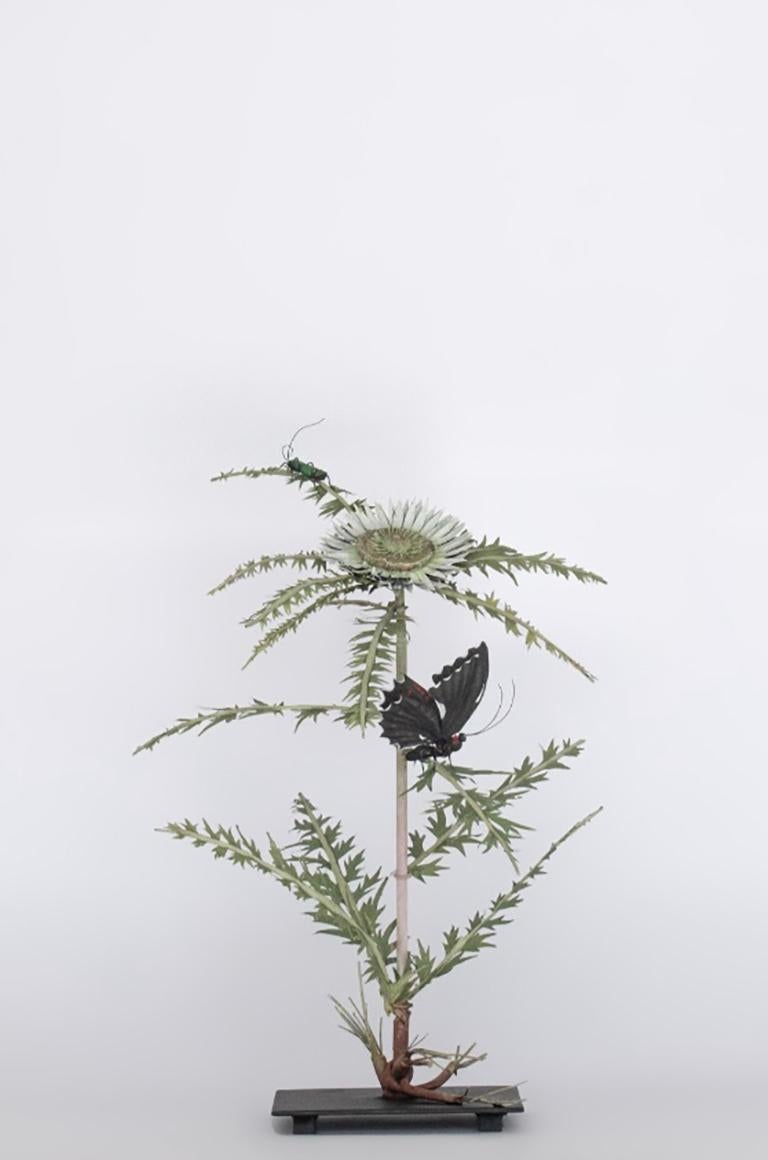 Still-Life Sculpture de Carmen Almon - Carline Thistle con Eurytides