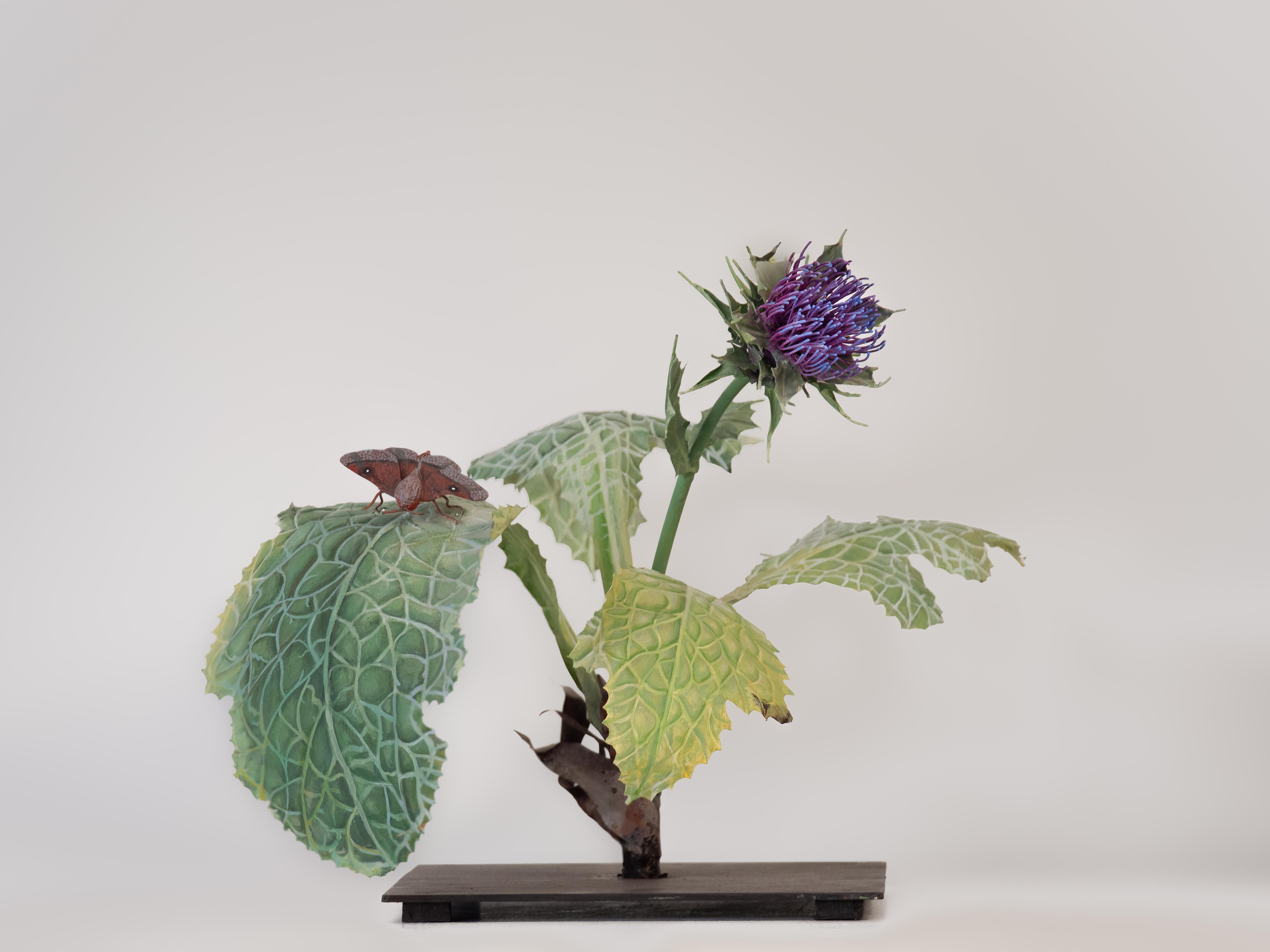 Carmen Almon Still-Life Sculpture - Chardon Marie with Anisota Moth