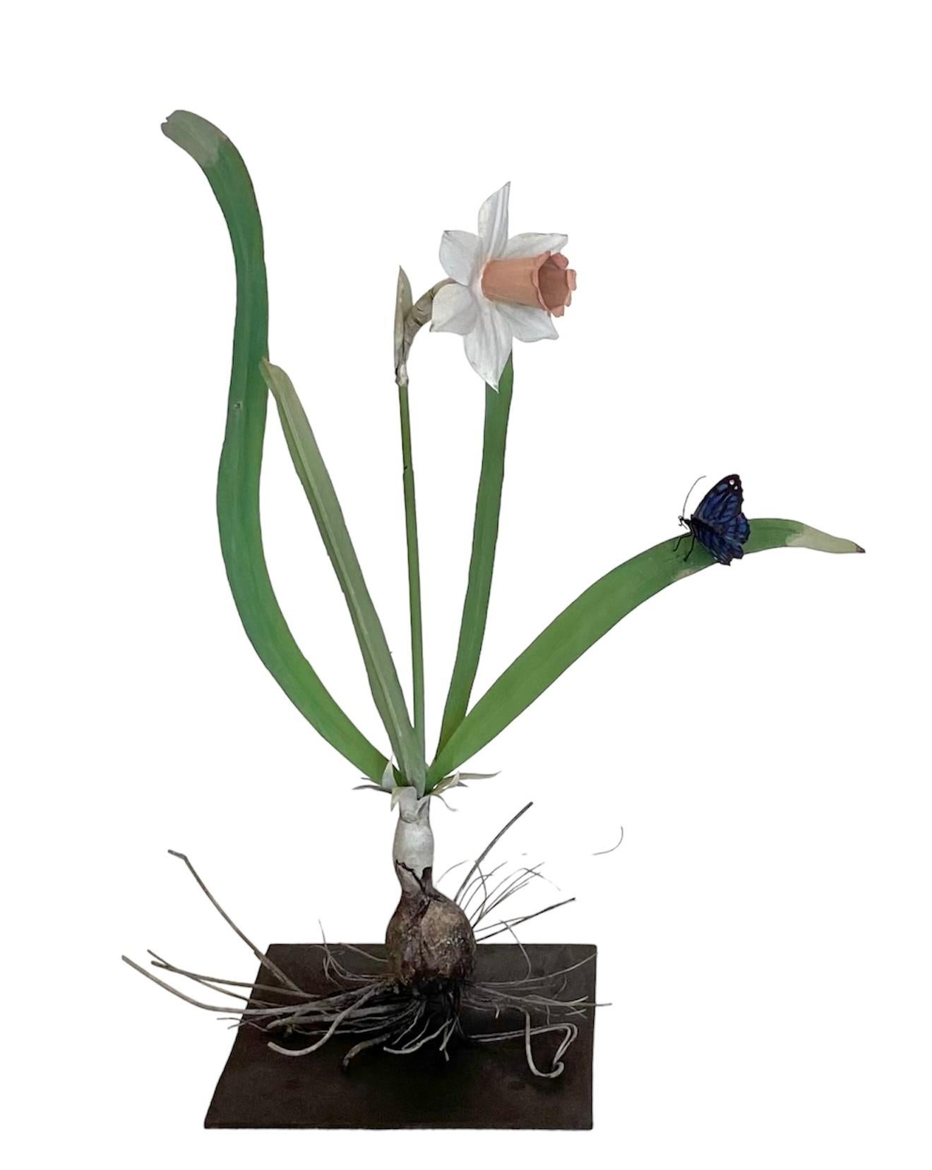 Carmen Almon Still-Life Sculpture - Daffodil with Blue Butterfly