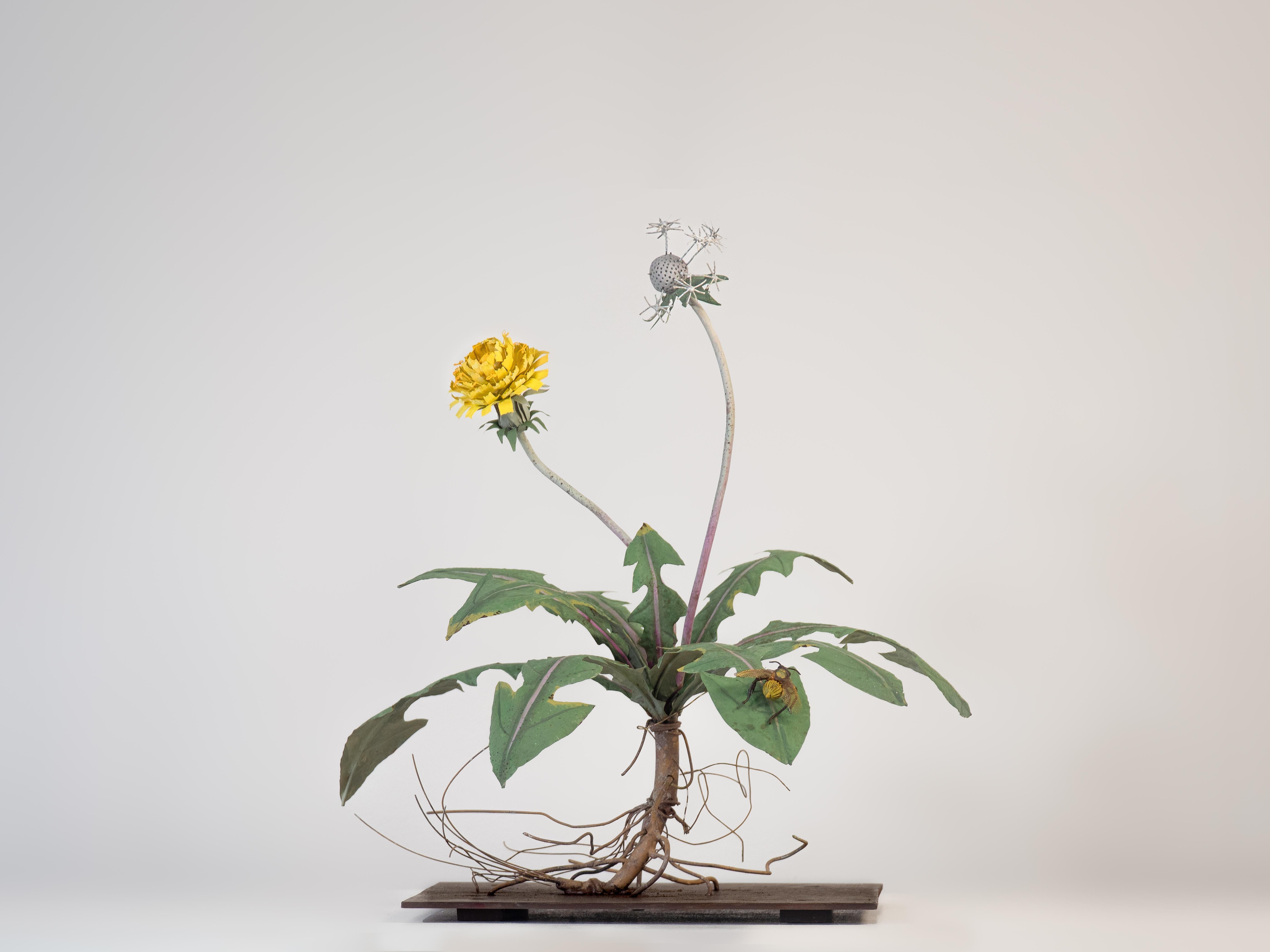 Carmen Almon Still-Life Sculpture - Dandelion with Honey Bee