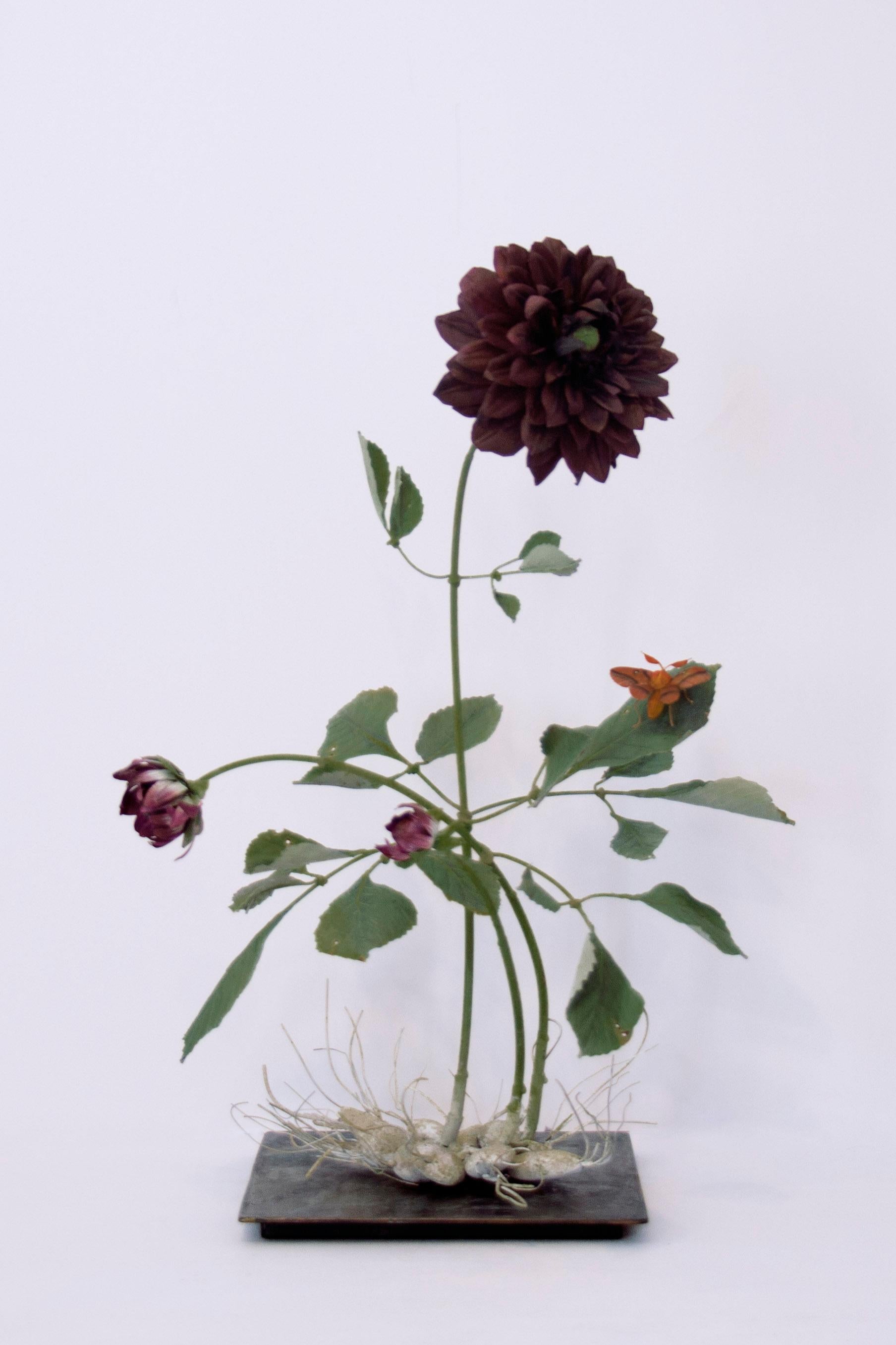 Carmen Almon Still-Life Sculpture - Dark Dahlia with Orange Moth