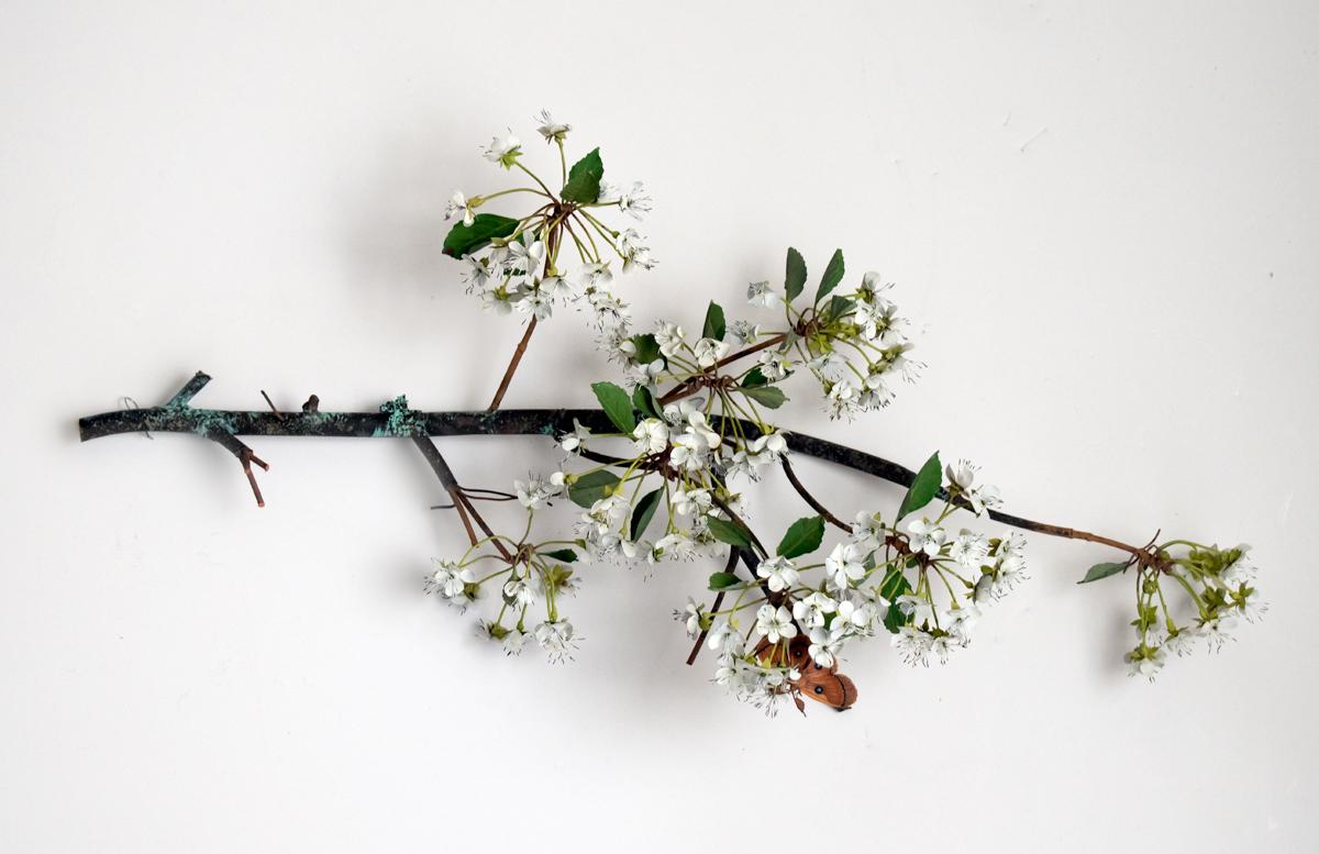 Carmen Almon Still-Life Sculpture - Hanging Pear Blossom Branch with Linnaeus Moth