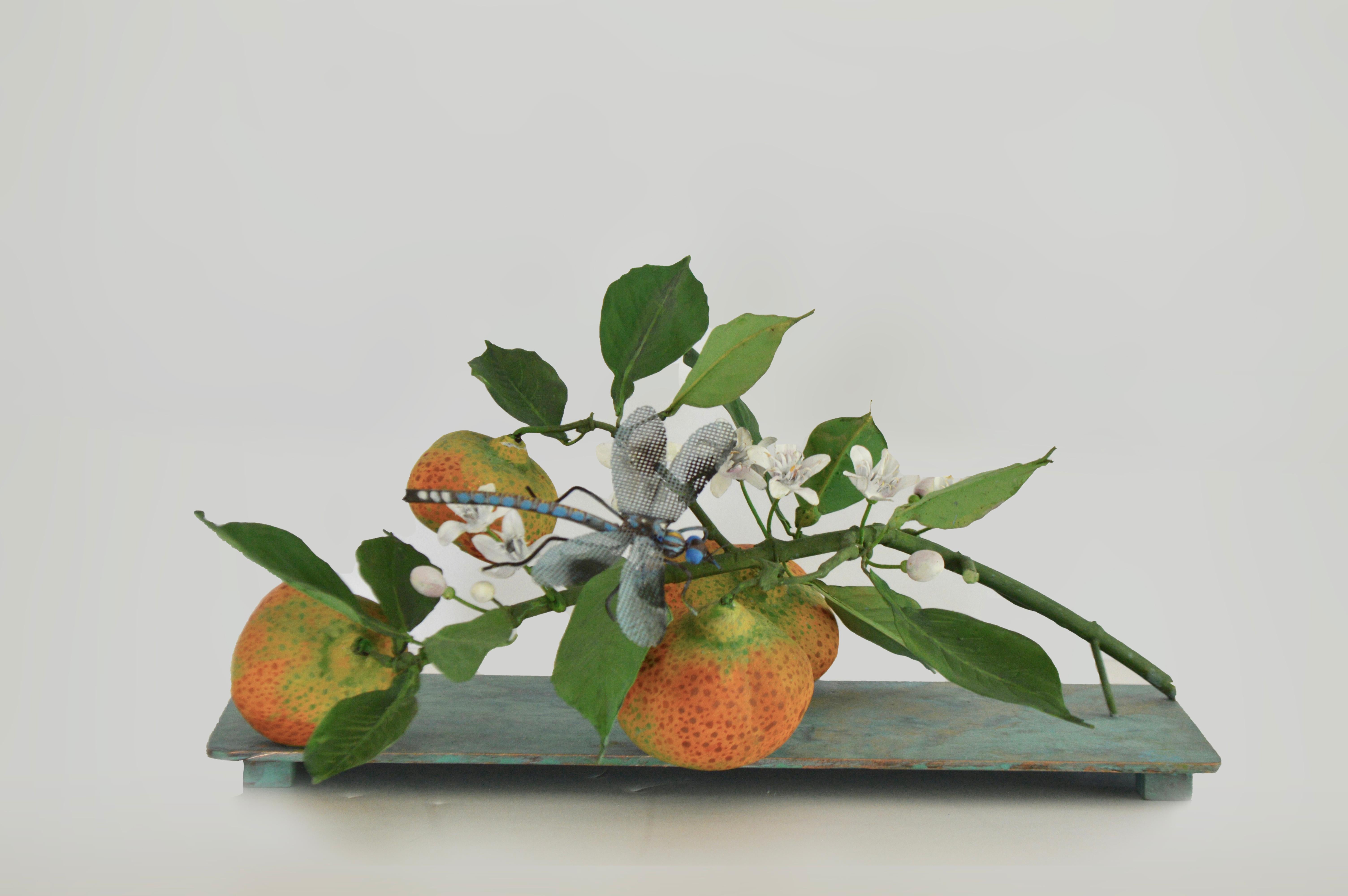 Carmen Almon Still-Life Sculpture - Mandarin Branch with Dragonfly