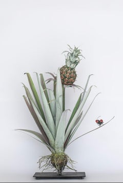 Still-life Sculptures