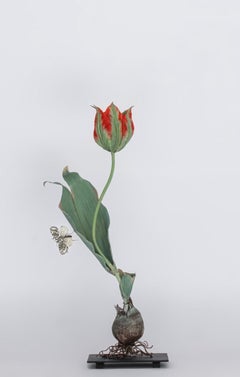Sculture di nature morte