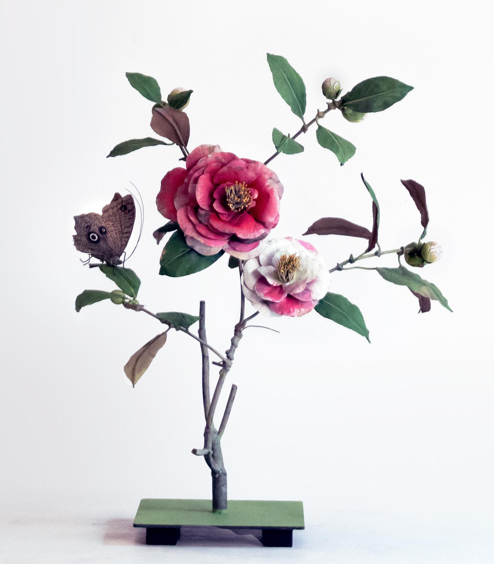 Carmen Almon Still-Life Sculpture - Two Tone Camellia with Owl Moth