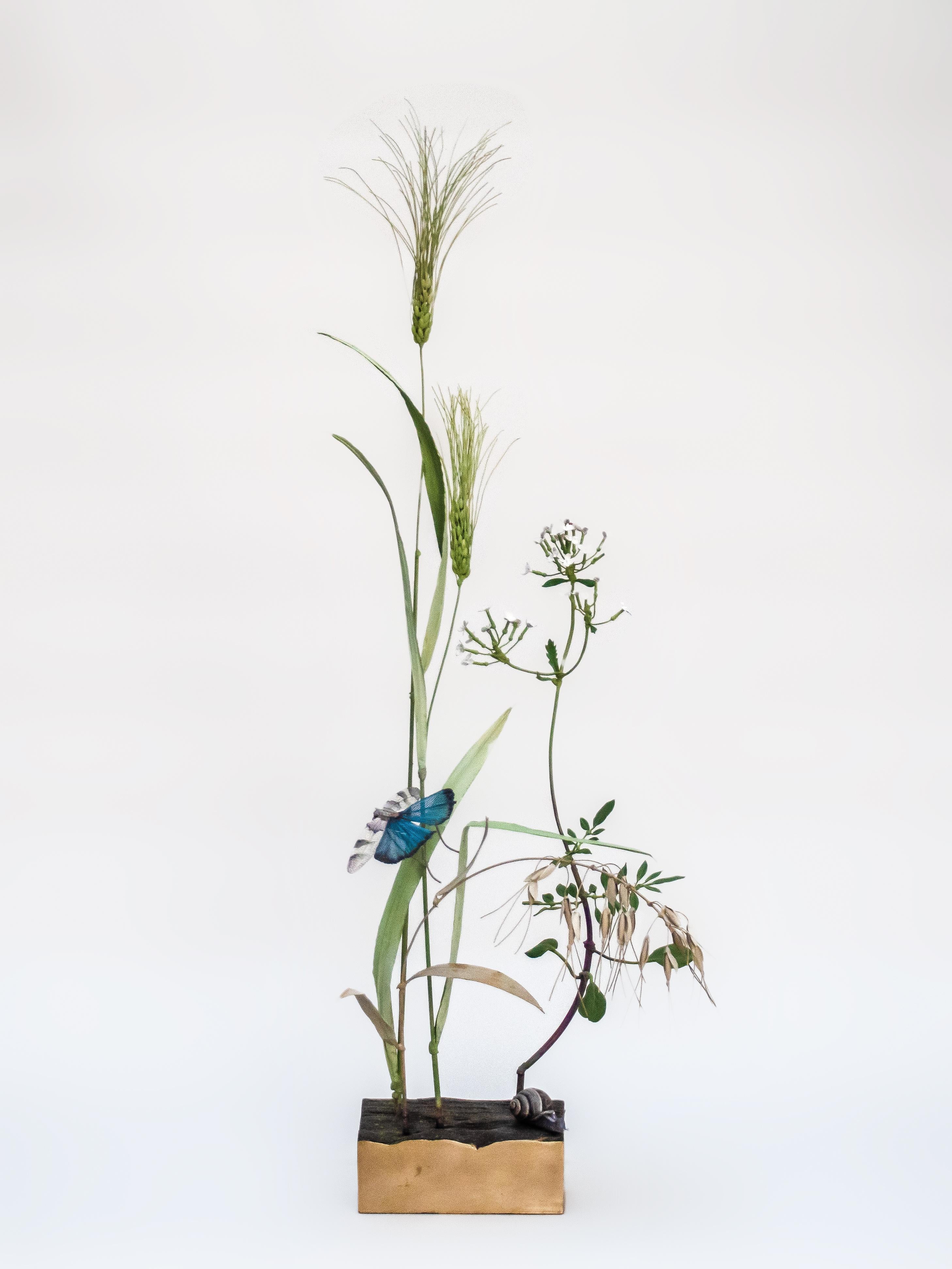 Carmen Almon Still-Life Sculpture - Wheat with Blue-winged Grasshopper