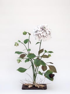 Enamel Still-life Sculptures