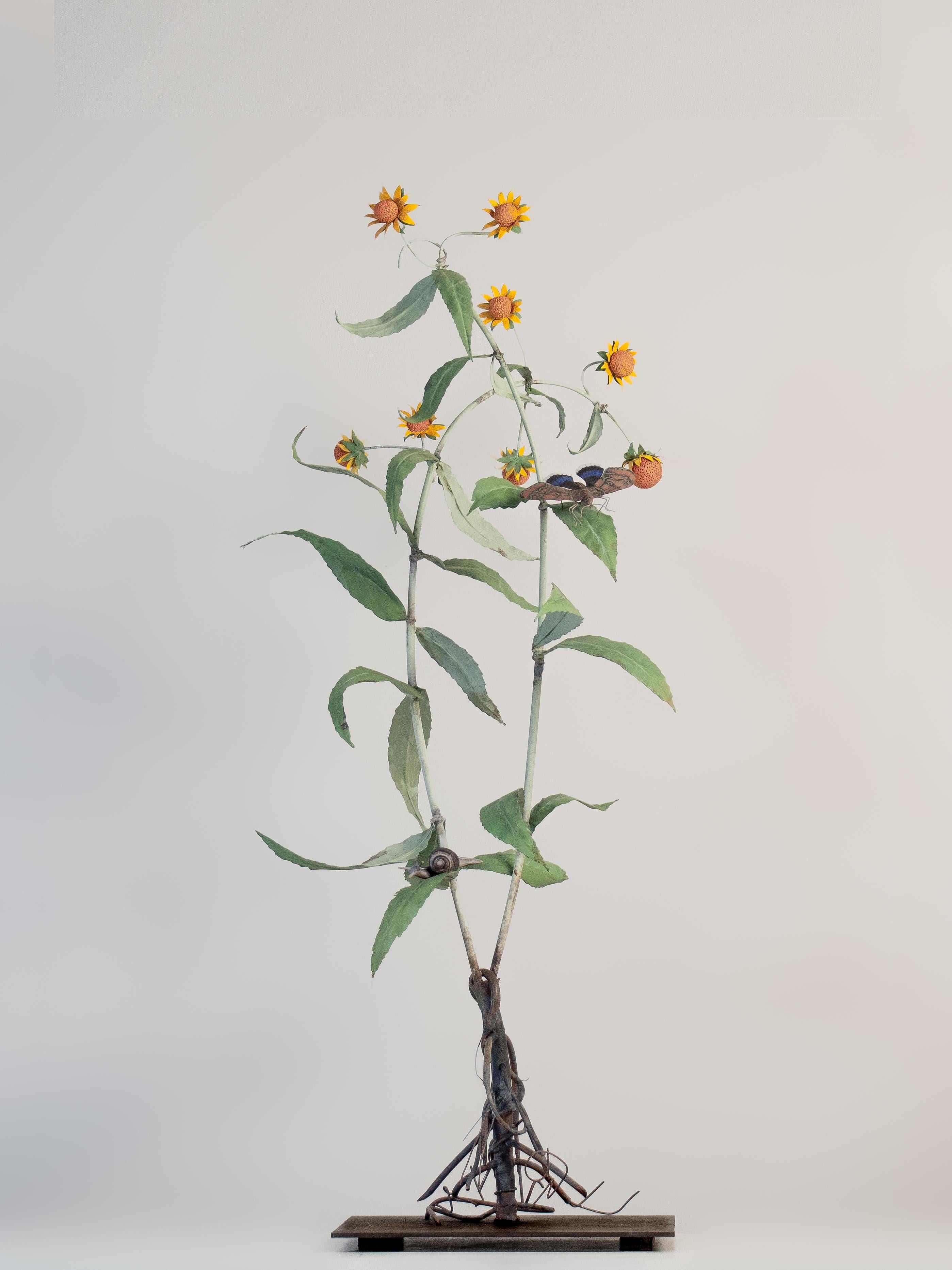Carmen Almon Still-Life Sculpture - Yellow Bur Marigold with Snail and Feigeria Butterfly