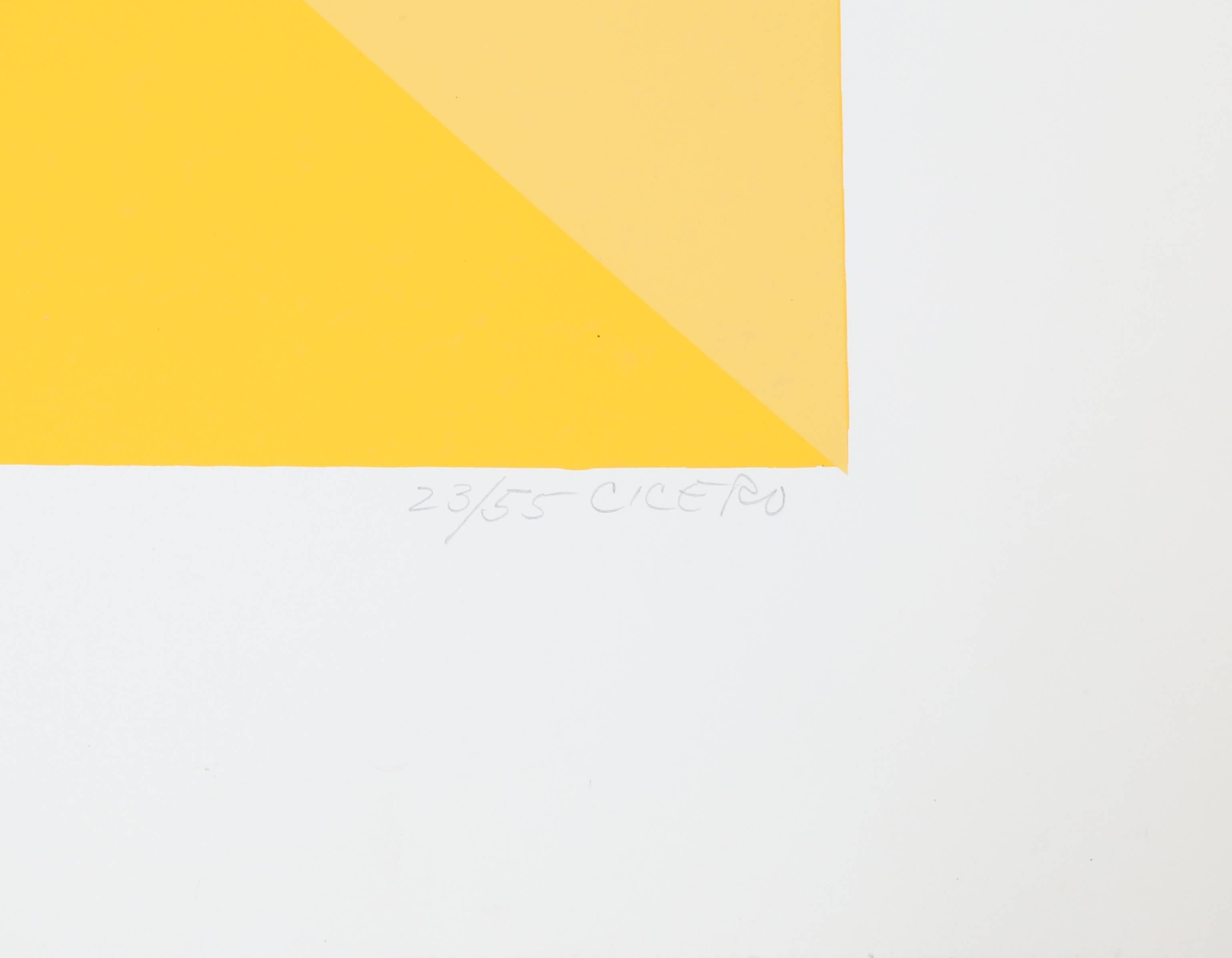 Abstract Yellow Silkscreen by Carmen Cicero 2
