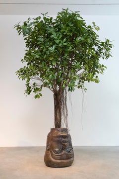 Carmen D'Apollonio, "Constantino", 2021