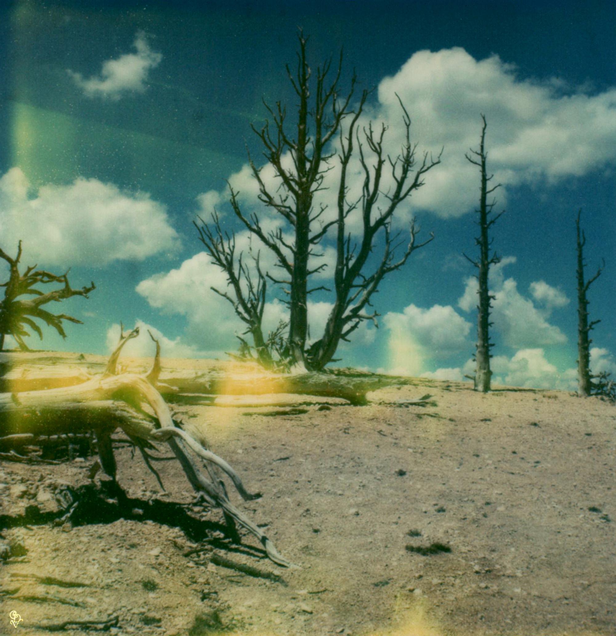 Carmen de Vos Color Photograph – Bryce Canyon #90 (US-Reisetagebuch) - Polaroid, Landschaft, US, Farbe