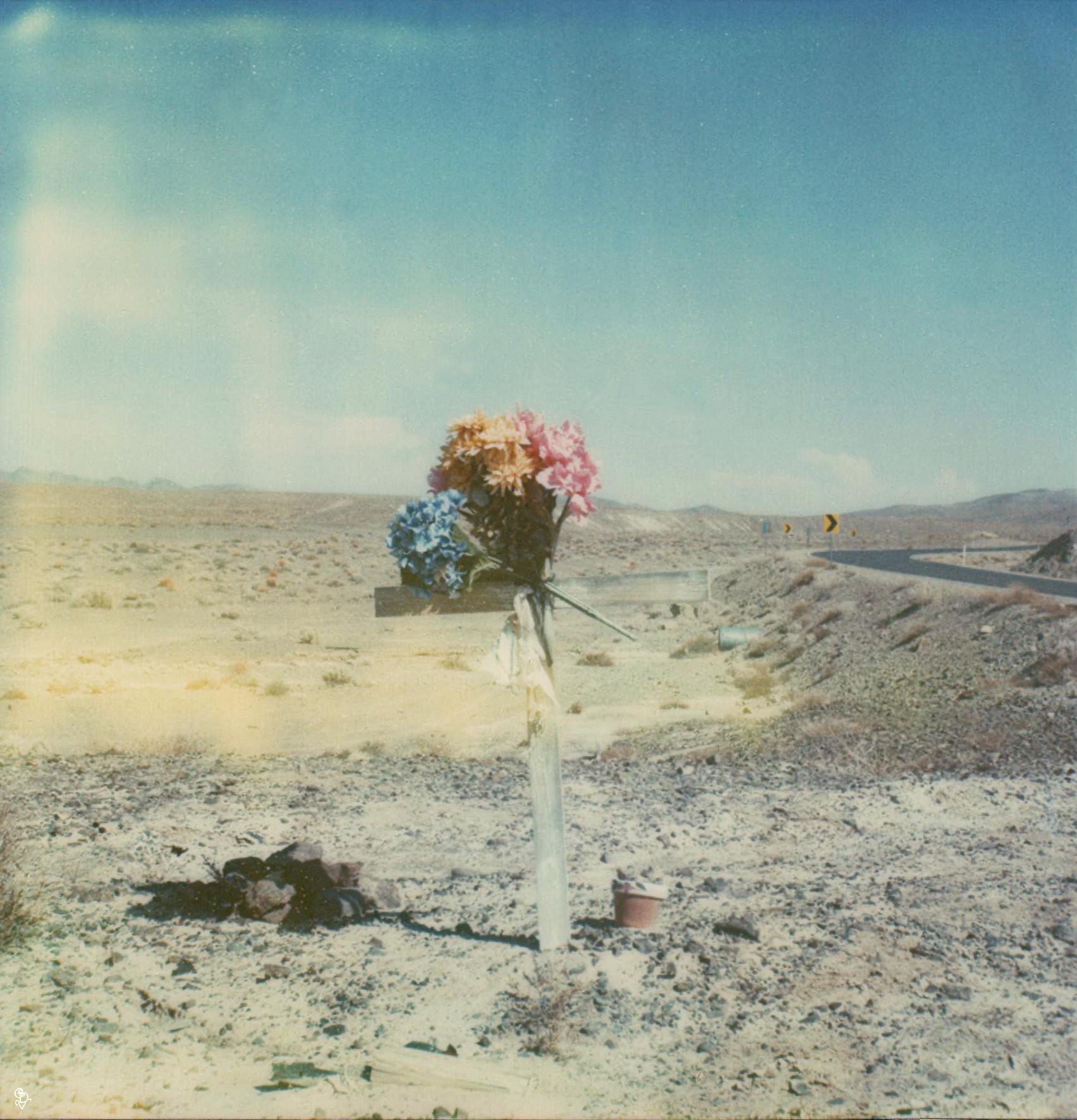 Carmen de Vos Still-Life Photograph - Death Valley Junction #109 (US Road trip Diary) - Polaroid, Landscape, US, Color