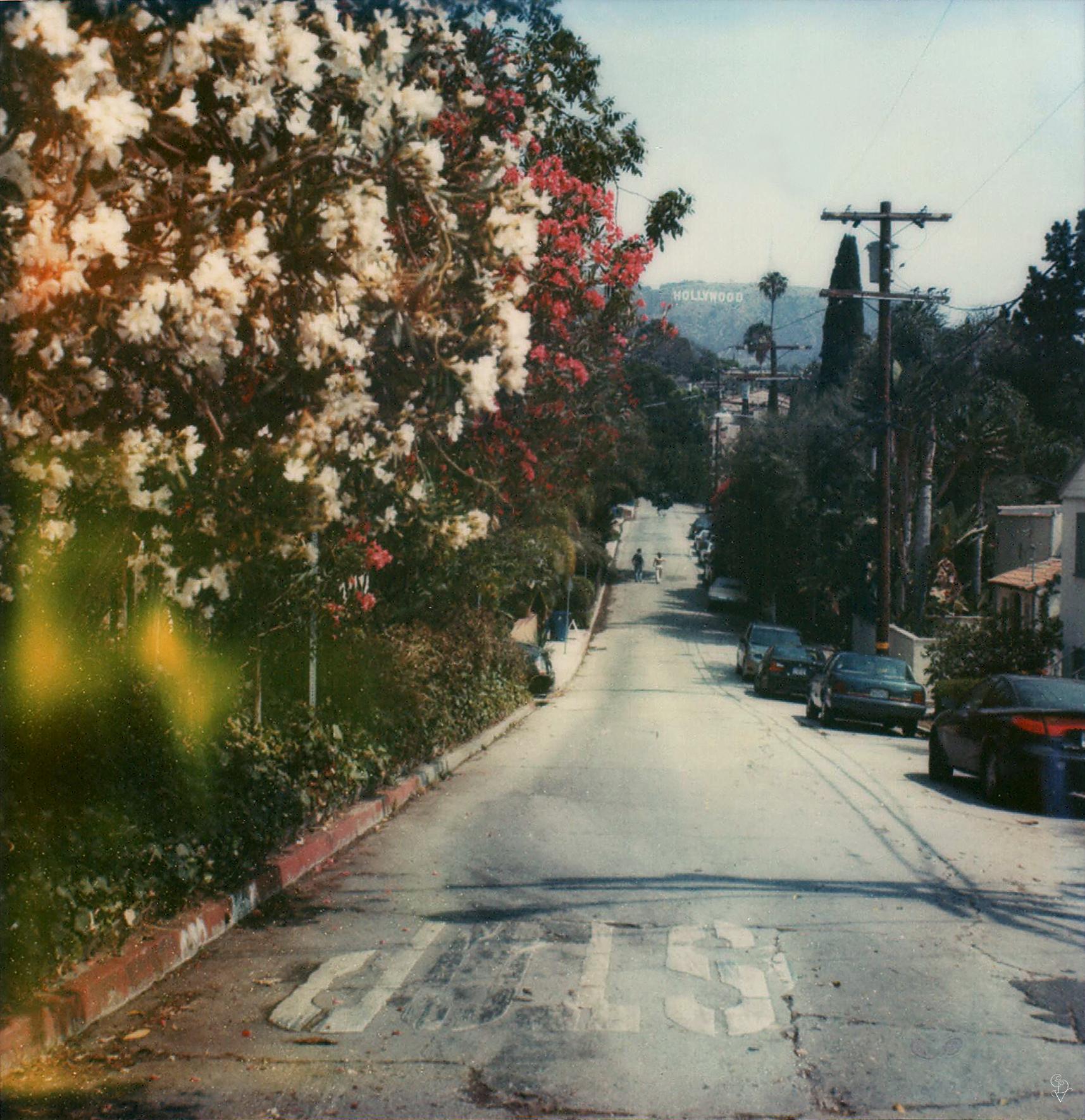 Carmen de Vos Color Photograph - Hollywood #23 (US Road trip Diary) - Polaroid, Landscape, US, Color