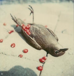 The Hunter 01 [From the series Wild Things] - Polaroid, Contemporary, Color