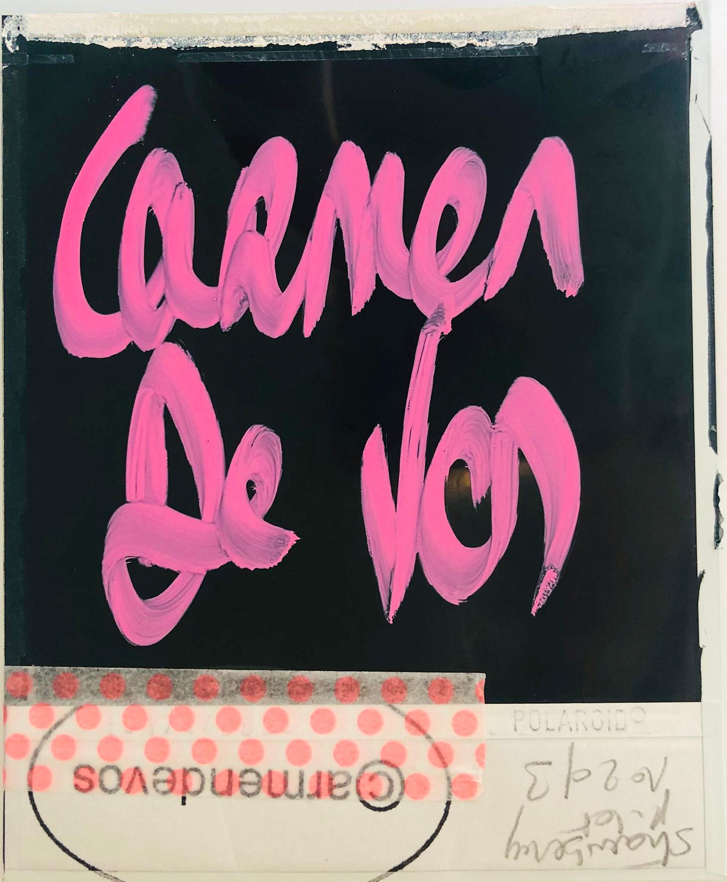 Wilde Erdbeere Leporello - Polaroid, Nackt, Frauen, Farbe – Photograph von Carmen de Vos