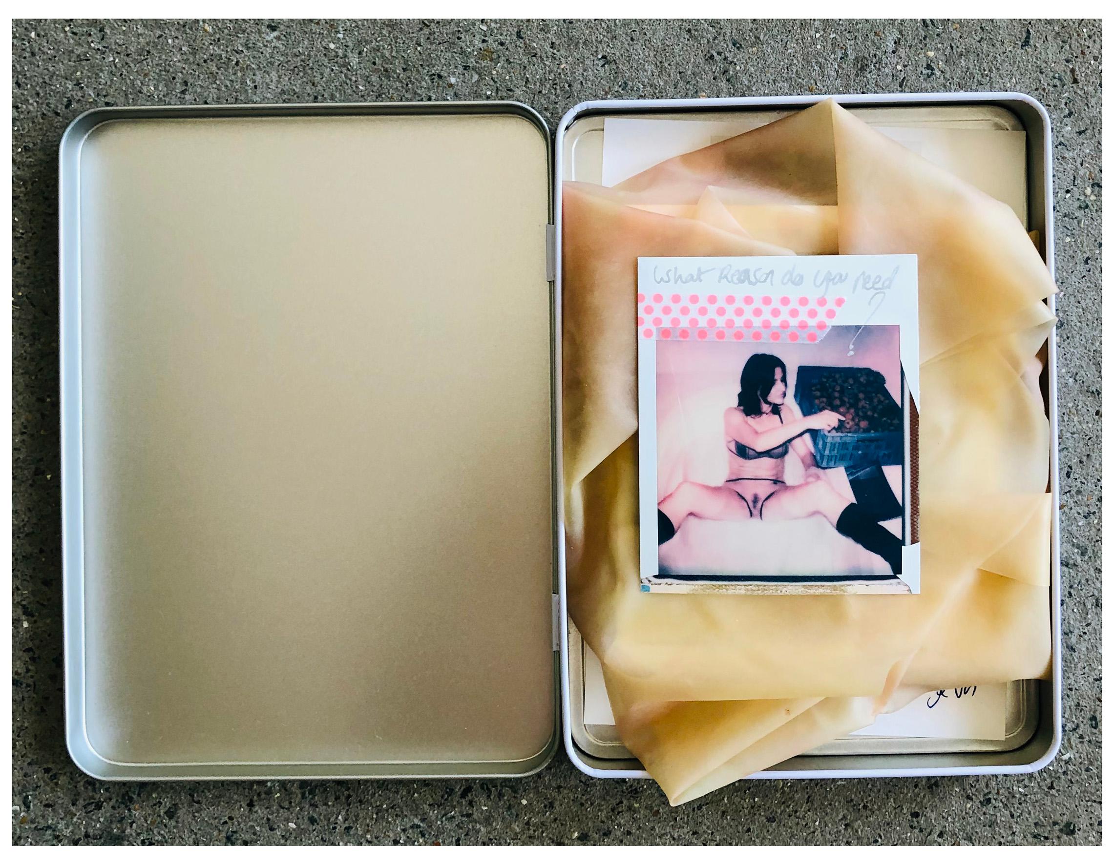 Wild Strawberry Leporello - Polaroid, Nude, Women, Color For Sale 1
