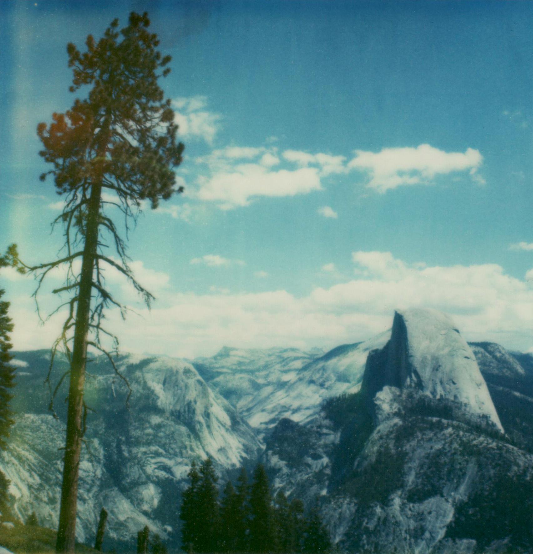 Carmen de Vos Still-Life Photograph – Yosemite #134 (US-Reisetagebuch) – Polaroid, Landschaft, US, Farbe