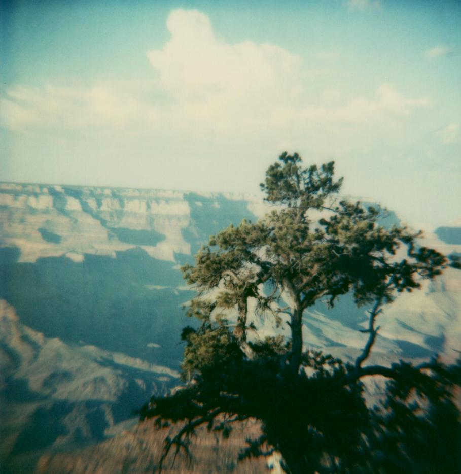 Yosemite #54 (US Road trip Diary) - Polaroid, Landscape, US, Color