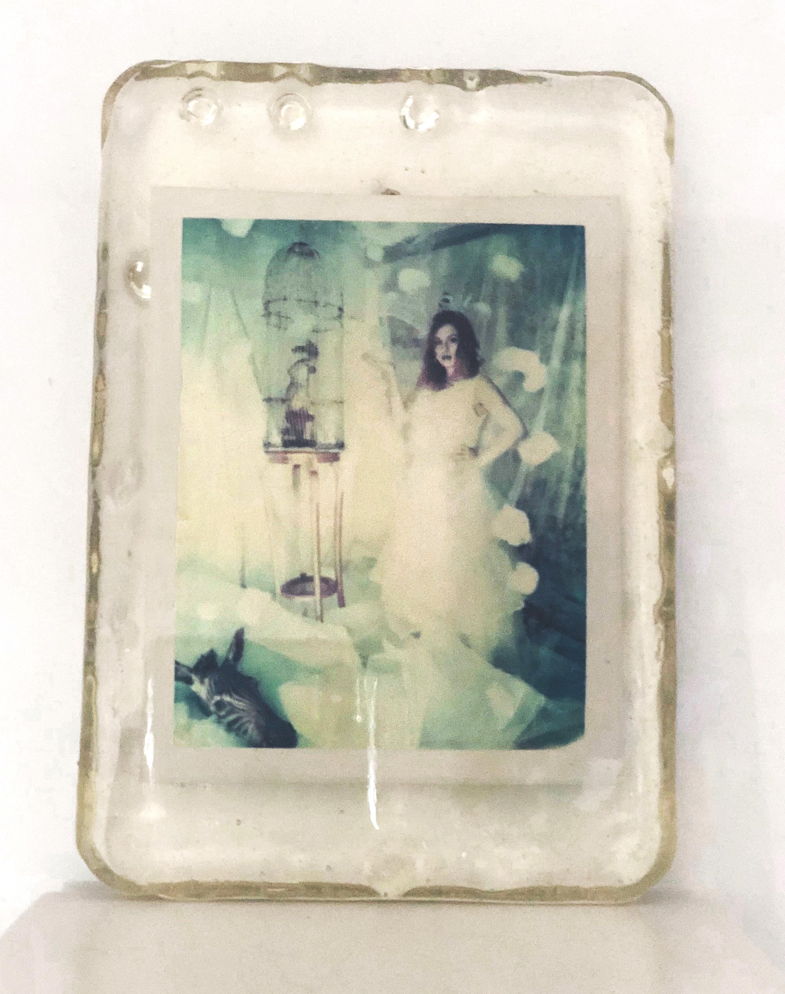 Zebrahaha - Unique piece - Original Polaroid, Women, Contemporary, Color For Sale 2