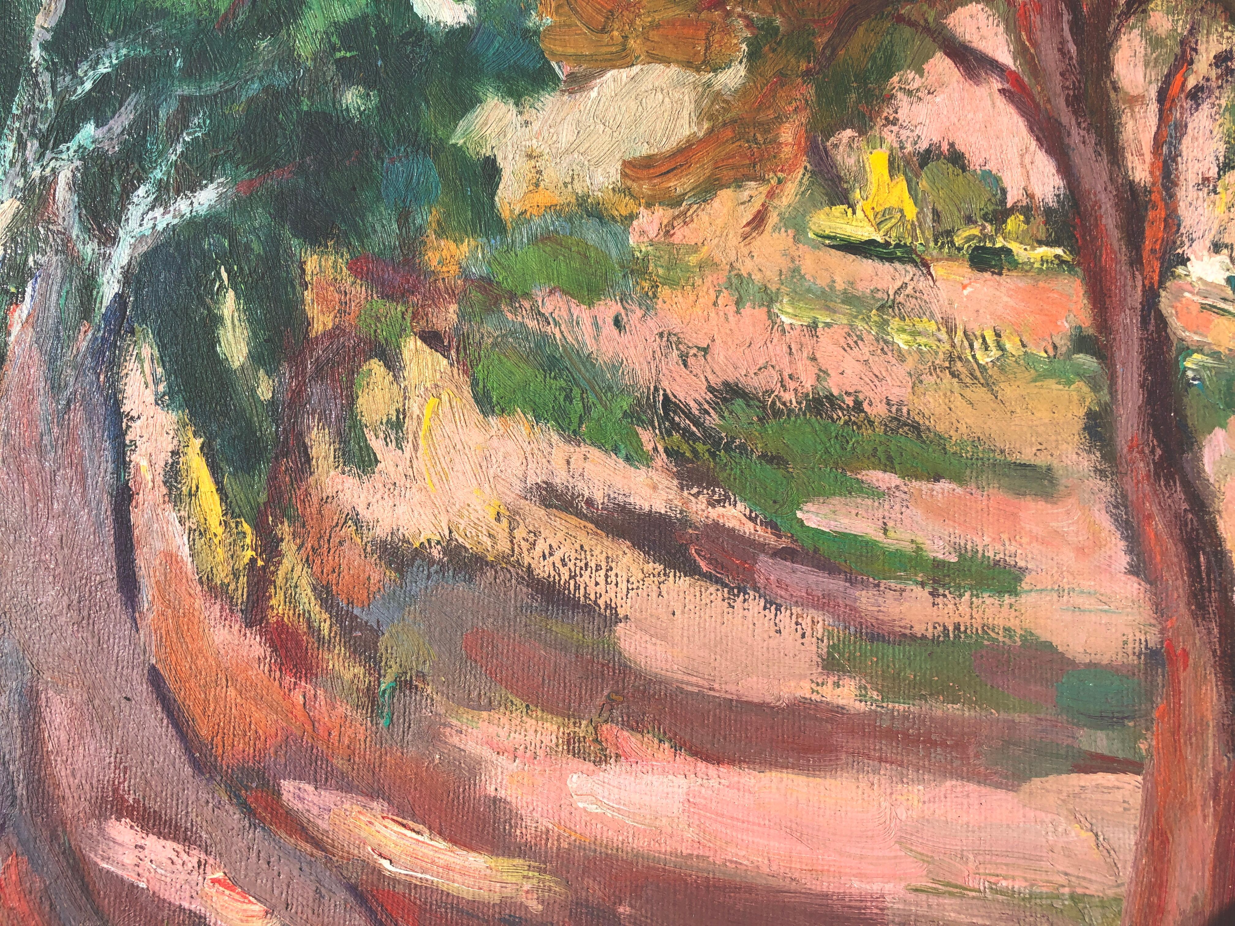 olive trees at collioure