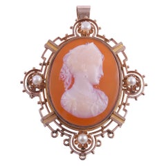 Carnelian & Agate Cameo Pin or Pendant