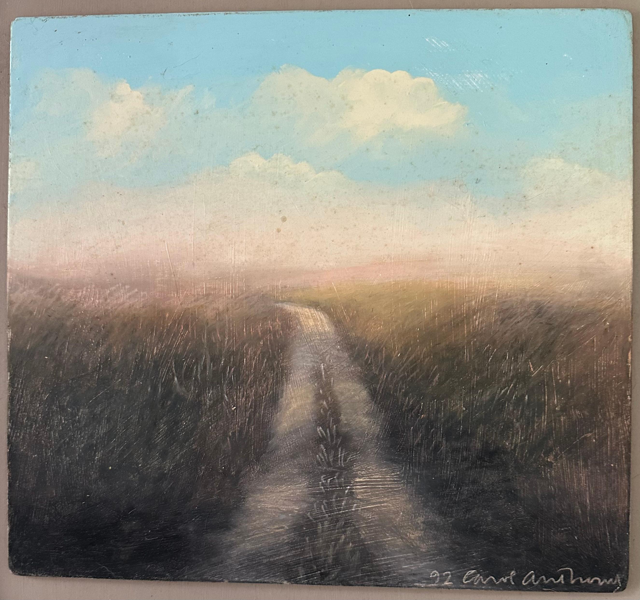 Carol Anthony è una pittrice americana che ora risiede nel New Mexico.  Questo quadro in particolare è uno dei primi lavori di una serie realizzata sulla 