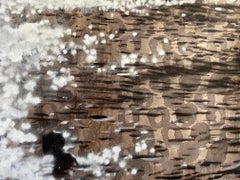 "Dripping in Diamonds" black and white, swimmers, ocean, sunlight, diamonds