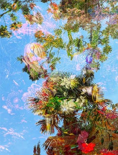 Colorful, Landscape Photomontage, Archival Print 'No Forbidden Fruit'