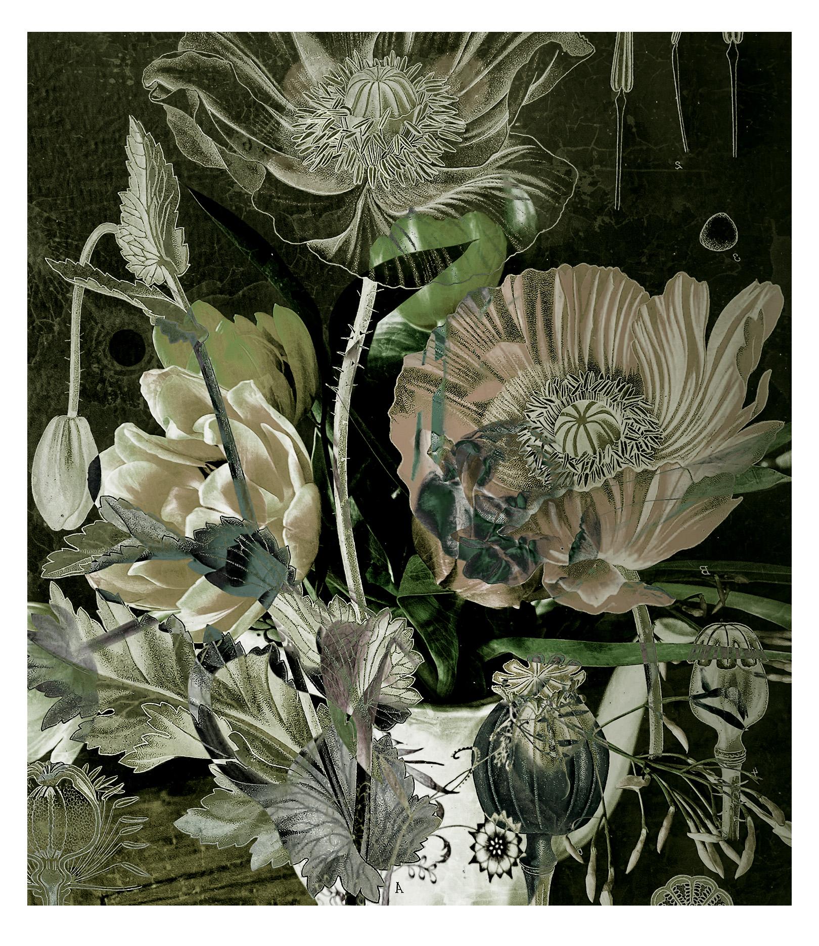 Carol Bouyoucos Landscape Print - Dutch Velvet, green botanical floral Photomontage
