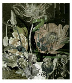 Dutch Velvet, green botanical floral Photomontage