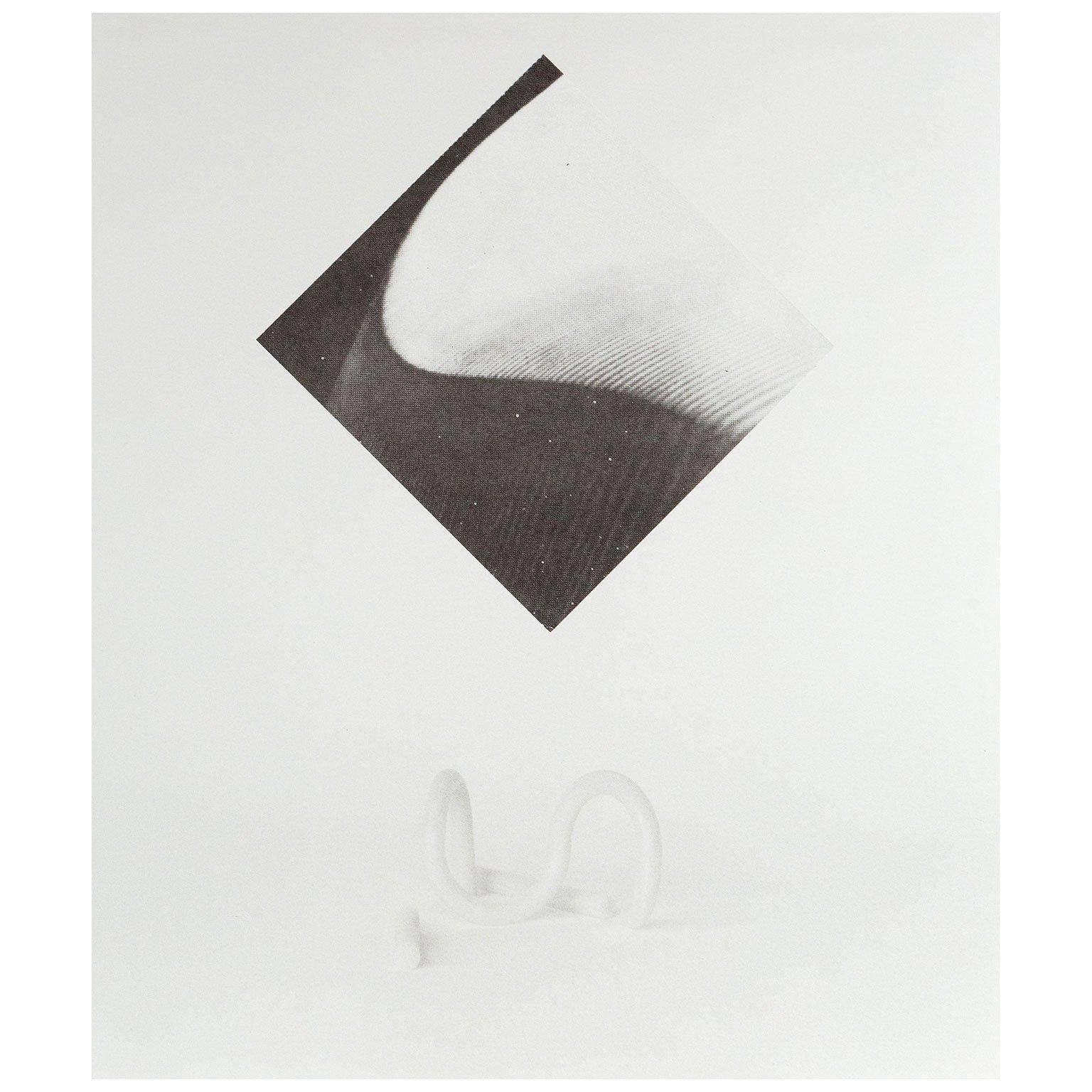 Untitled (from the White Columns Portfolio) - Print by Carol Bove