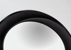 Carol Egan, Mirror, Estados Unidos, 2013