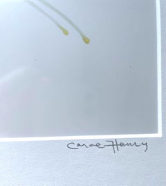 Colombine blanche - Étude florale