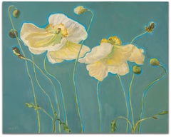 Weiße Mohnblumen auf Blau
