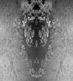 Head of My Favorite Horse