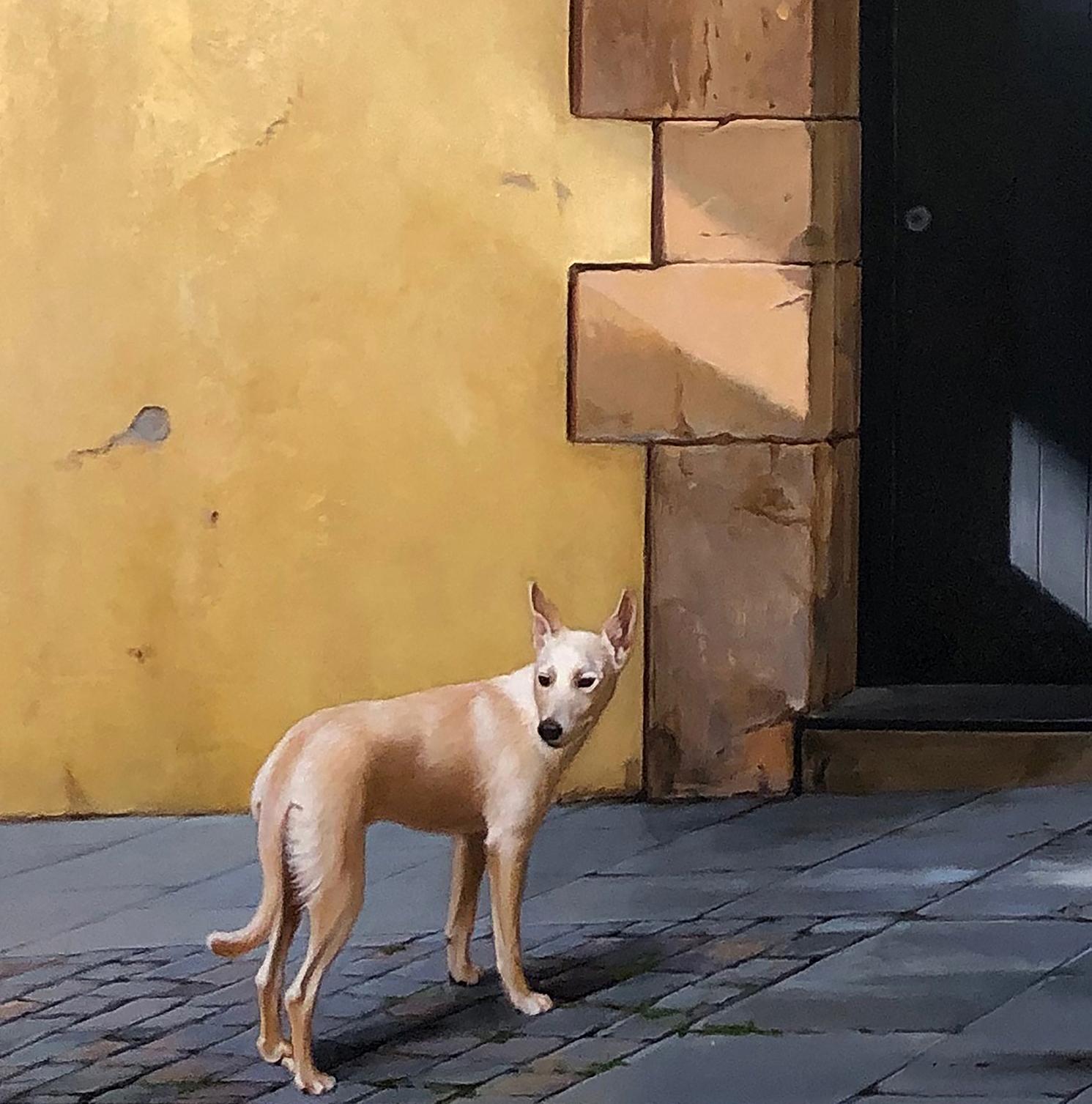 Sombras des Caldes (The Shadows of Caldes) - Architectural Imagery and a Dog  - Painting by Carol Pylant