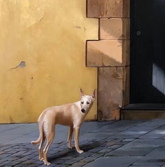 Sombras des Caldes (The Shadows of Caldes) - Architectural Imagery and a Dog
